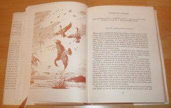 Lovy v Karpatech - 3