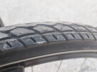 CTM 20" Berry - 3