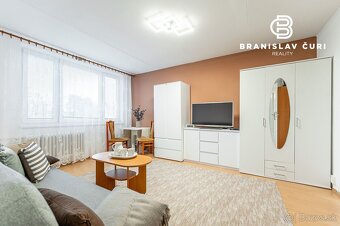 Prenájom útulného 1-izbového bytu na Terase – Humenská ulica - 3