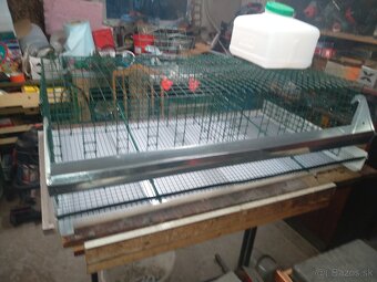 klietka pre prepelice - 3