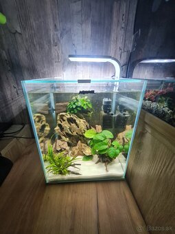 Nano akvárium - 3