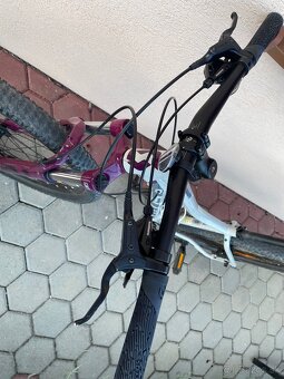 dámsky bicykel - 3