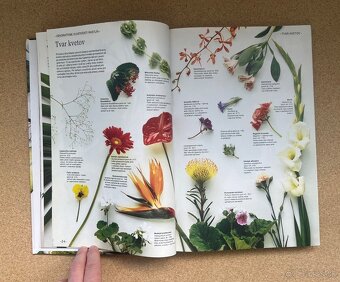 Knihy Príjemný Život s Kvetinami Obľúbené Izbové Kvety - 3