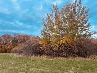 Pozemok - Lúka, Malé Leváre, 26 385 m² - 3