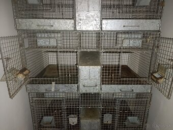 Klietky pre hlodavce - 3