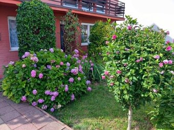 Rodinný dom v kúpeľnej obci Kováčová pri Zvolene - 3