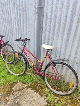 Bicykle (nálezový stav) - 3