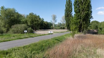 Veľký stavebný rožný pozemok Malé Leváre - 3