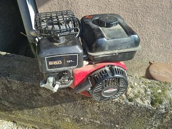 Briggs Stratton - 3