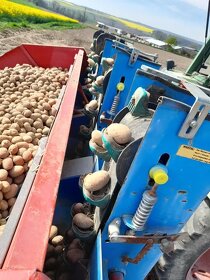 Sadzač zemiakov Gruse 4-radový, 4x75, hydraulická nádrž - 3