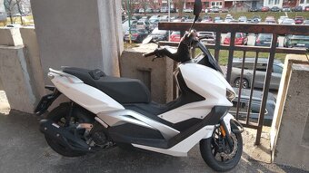Predam scooter - 3