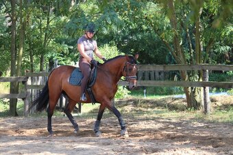 Všestranná kobyla - 3