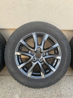 Zimna sada MAZDA R16 - 3