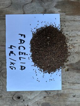 Lucerka osivo,datelina lucna,facelia - 3