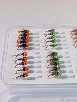 nymfy 40 ks - 3