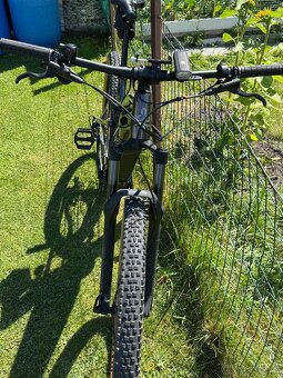 CTM Areon xpert 29” - 3