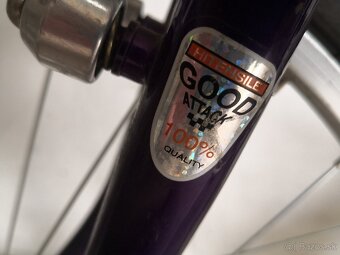 damsky bicykel  LEADERFOX - 3