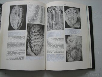 Skameneliny fosílie. - 3