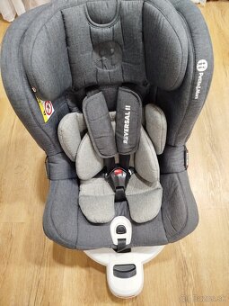 Petite & mars reversal - 3