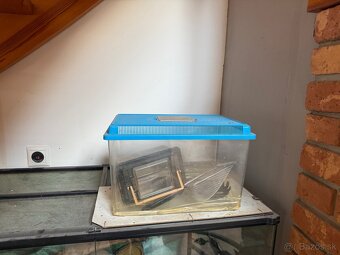 Terarium - 3