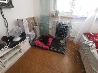 Predam Trixie klietku pre psy - 3
