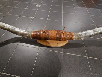 Rohy, Parožie, Trofej - 3