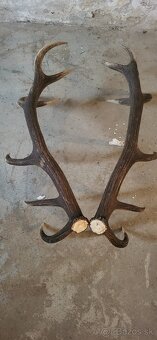 Jelenia parka.14 torak.zhody.parohy - 3