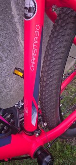 CTM Charisma 3.0 - 3