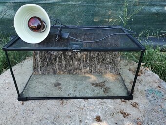 Terarium - 3