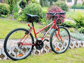 Bicykel Vector-Cobra - 3