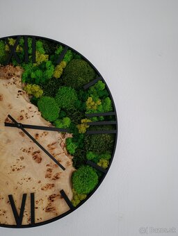 Machové hodiny topoľové - 3