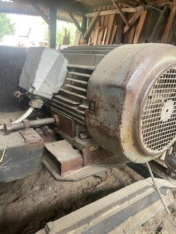 Kmenova pasová pyla - 3