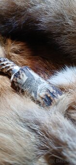 Vabnička, zajačie vrešťadlo - 3