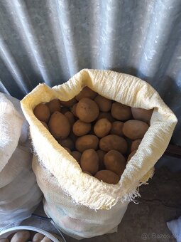 Zemiaky - 3