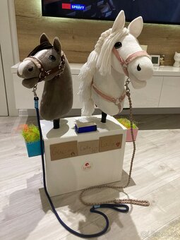 Hobby horse - 3