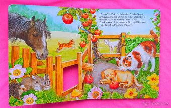 Nájdi si ma.Kde sú mačiatka. - 3