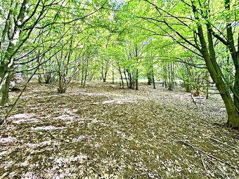 Pozemok na samote v obci Vyhne (Žiar nad Hronom) - 3