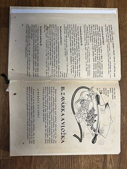 Marie Janků - Sandtnerová - 3