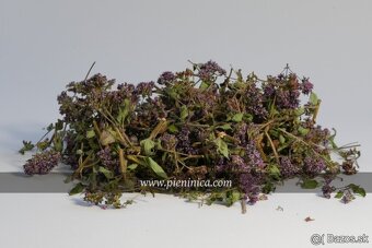 Pieninica sušené byliny 2025 - 3