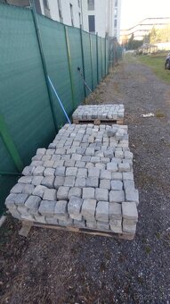 Predám mačacie hlavy - 3