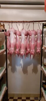 Ptedam mäso z mladych kralikov - 3