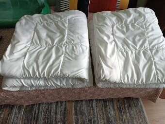 Darujem paplony. - 3