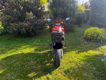 Triumph tiger 1050 - 3