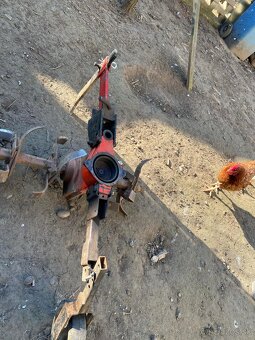 predam rotavator cerpadlo na vodu terra vari - 3