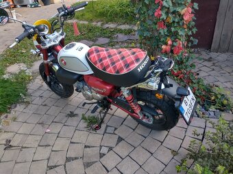 Honda 125 Monkey - 3
