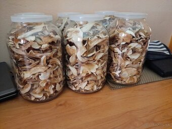 Sušené dubaky - 3