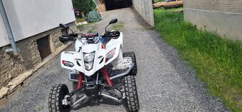Suzuki LTZ400 - 3