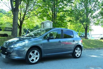 Peugeot 307 1.6hdi 66kw - 3