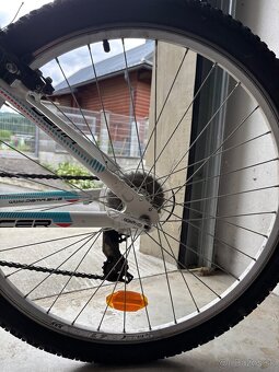 Cestný bicykel Dema - 3