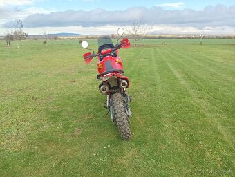 Honda dominator 650 - 3